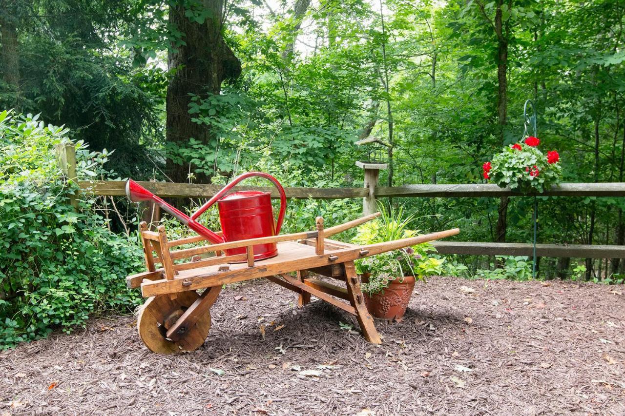 Lazy Bear Lodge Valle Crucis Екстер'єр фото